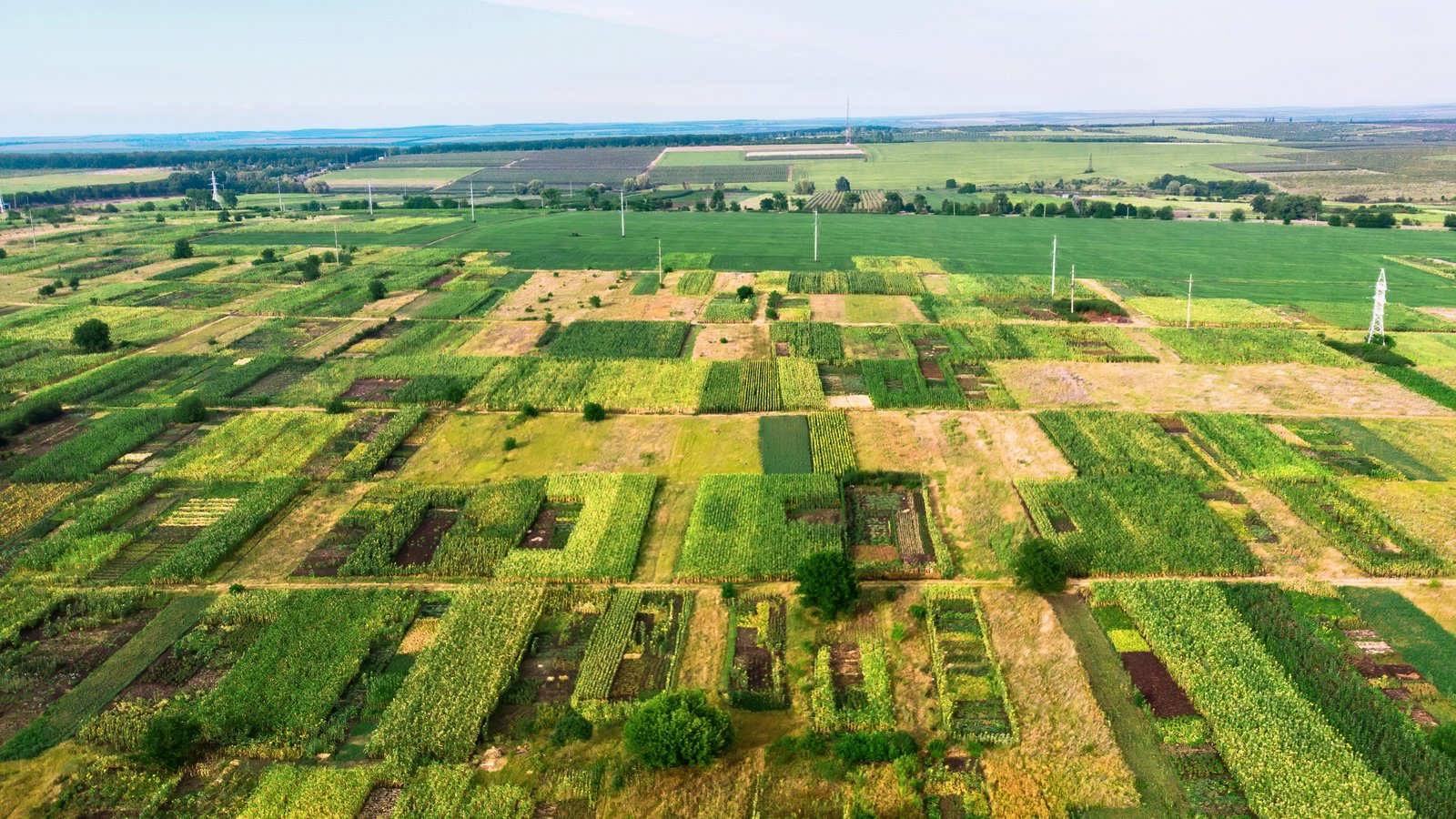 Terrain 600 m² — Anyama
